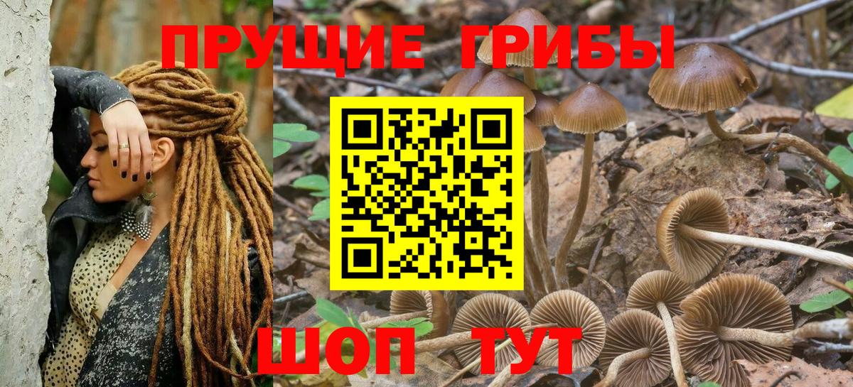 закладка  Галлюциногенные грибы мухоморы  Вход с VPN  Кимры 