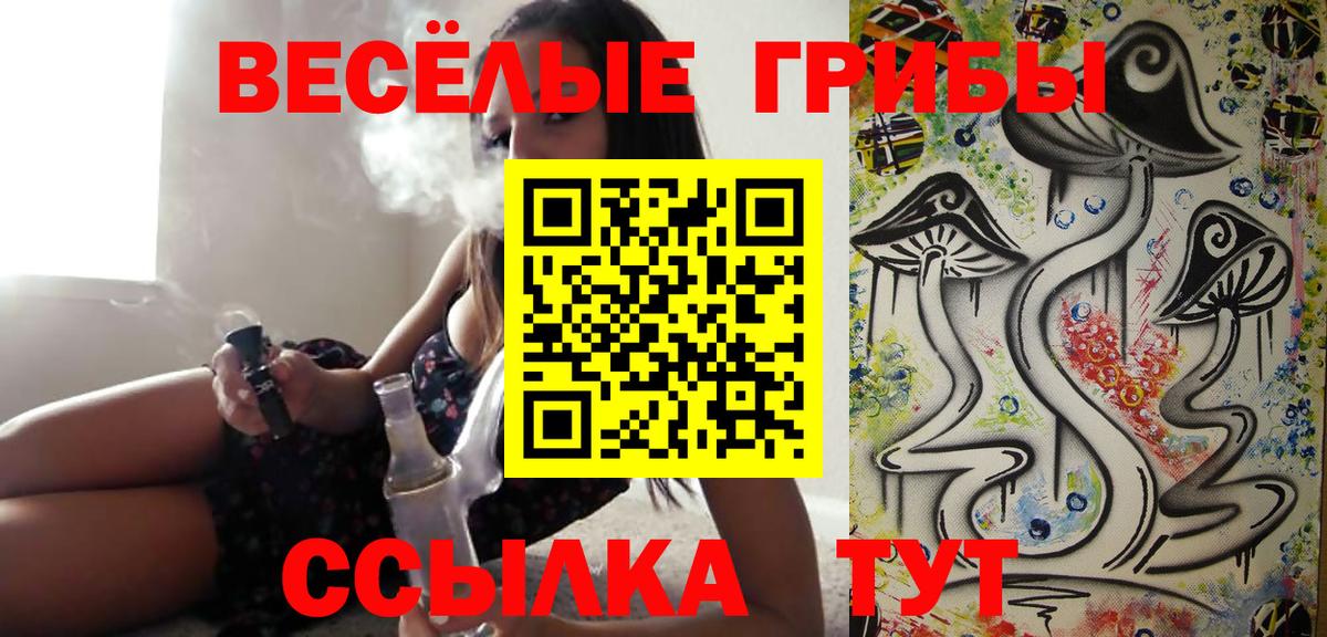 Псилоцибиновые грибы Cubensis Кимры